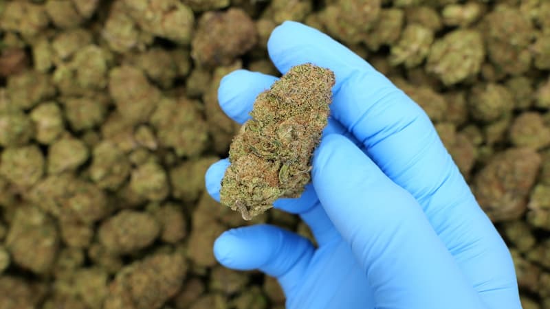 L.A Confidential