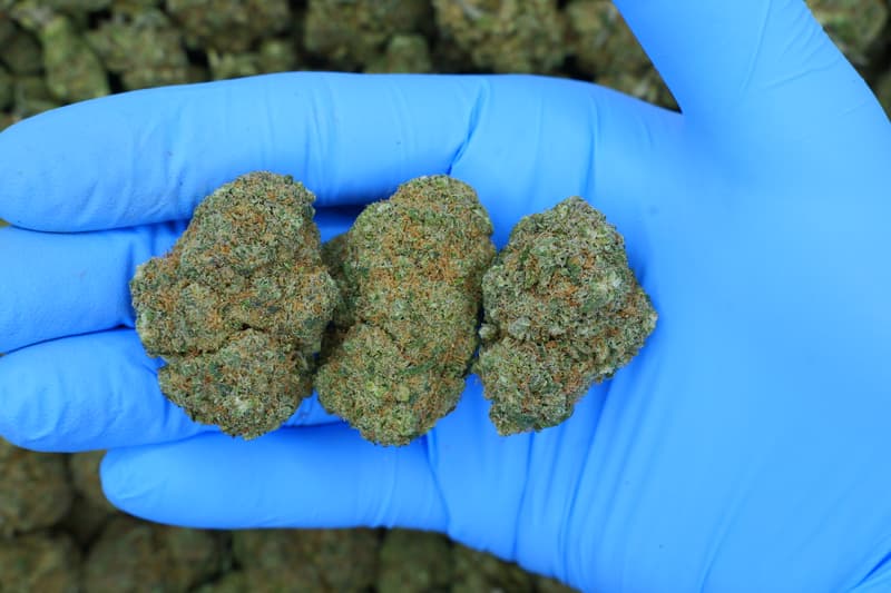 Sour Diesel / Batch #2