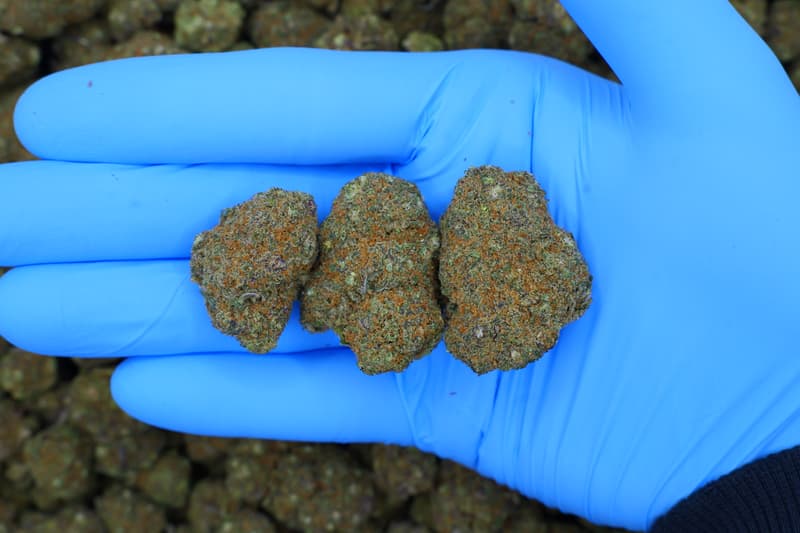 Zkittlez