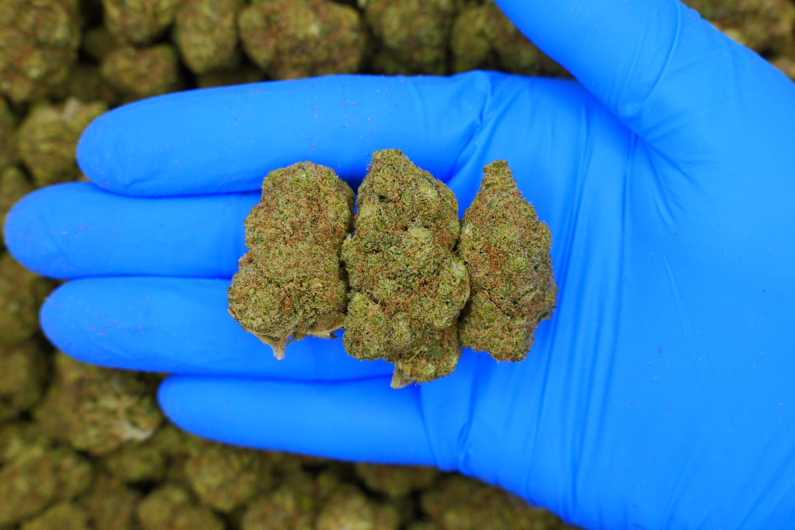 L.A Confidential / Batch #2